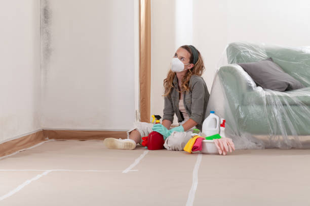 Reliable Mold Remediation contractor in Portland, TX by WQB Mold Removal